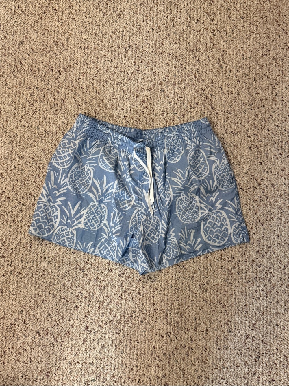 Chubbies Swim Trunk